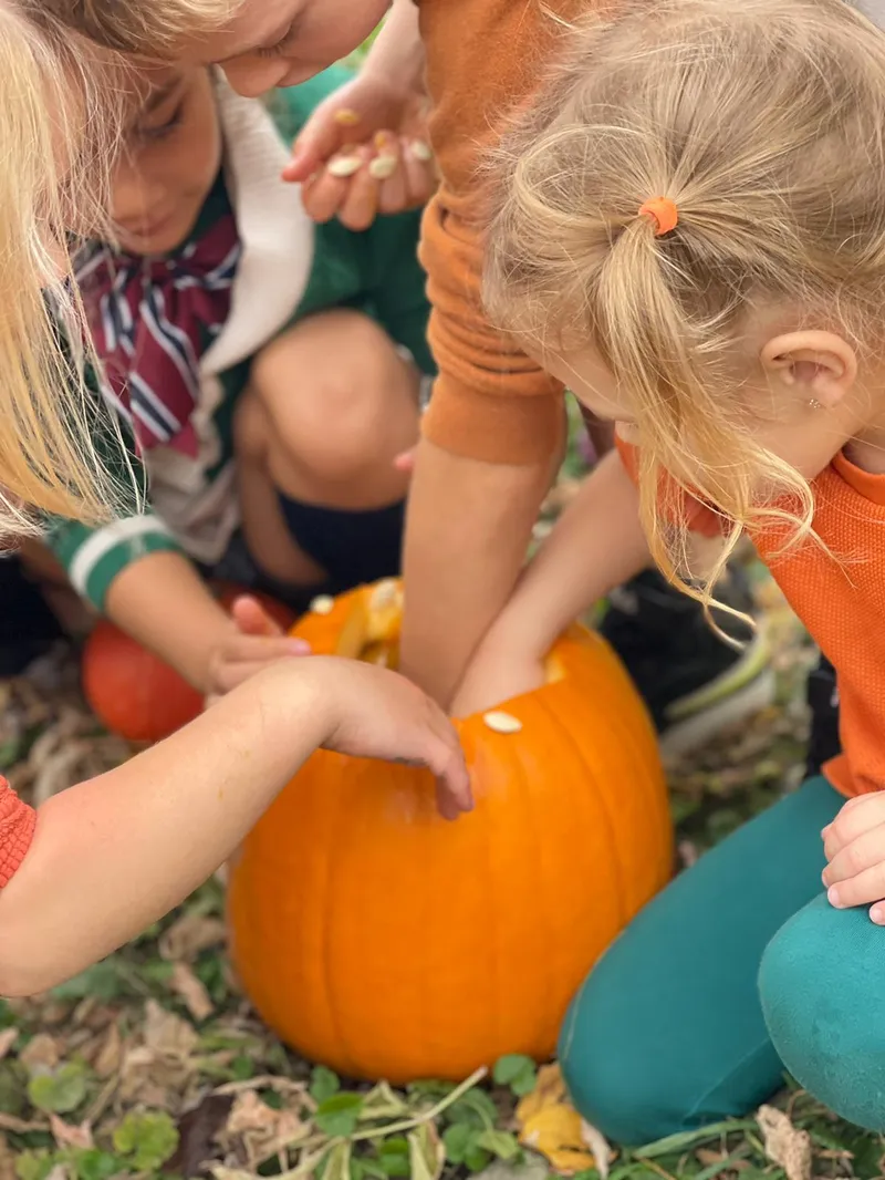 Children enjoying fall pumpkin carving activities demonstrating freedom to learn at Alderwood Academy