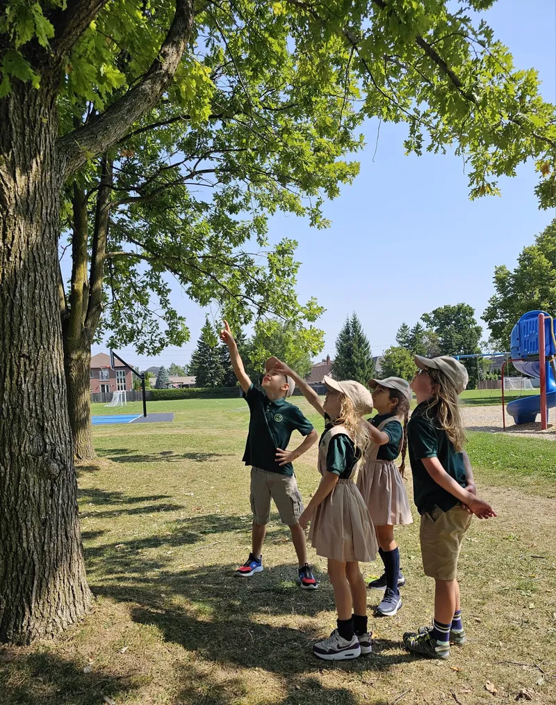Children exploring nature and trees demonstrating child-centered discovery at Alderwood Academy