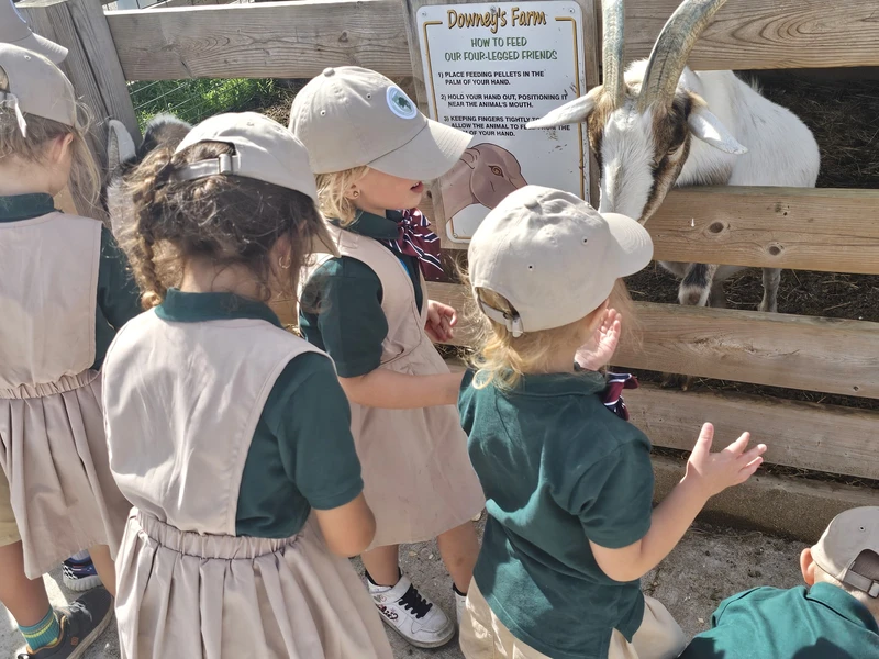 Students on goat farm visit learning empathy and care for animals at Alderwood Academy